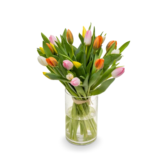 Kytice tulipánů